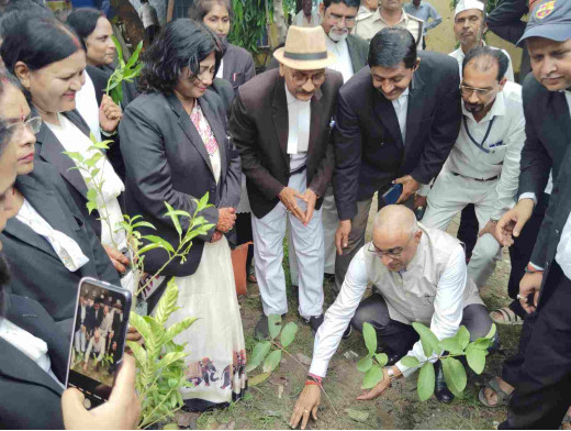 जिला महिला अधिवक्ता संघ द्वारा वृक्षारोपण कार्यक्रम आयोजित